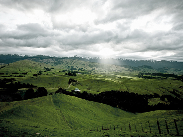 (Progressive Farmer photo by New Zealand Trade and Enterprise)